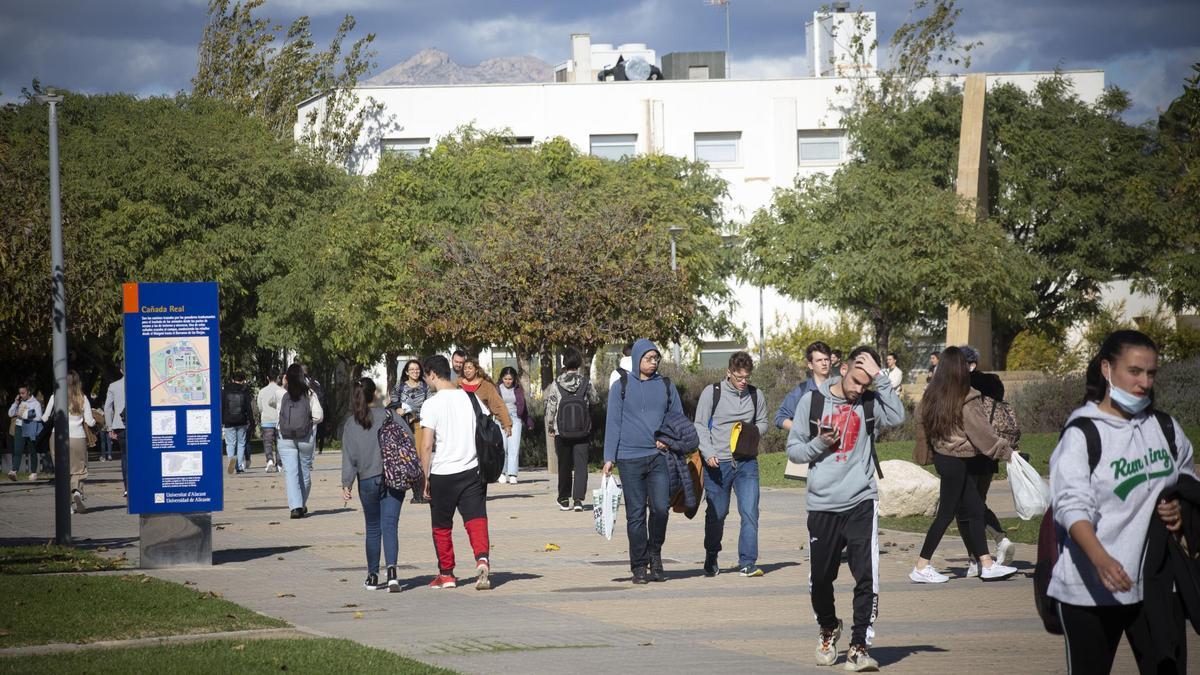 Estudiantes circulando por el Campus de la Universidad de Alicante.