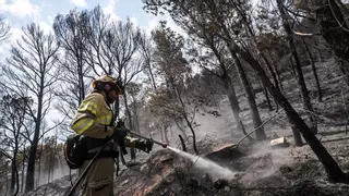 Directo | Otros tres incendios en Baix Ebre, Anoia y Lleida se suman al de Paüls, que sigue sin control