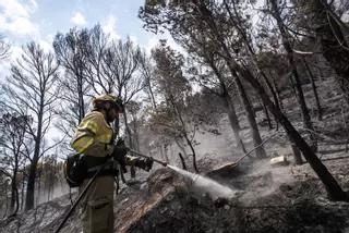 Dentro del incendio en Baix Ebre: los bomberos trabajan a contra reloj en el incendio forestal en Paüls