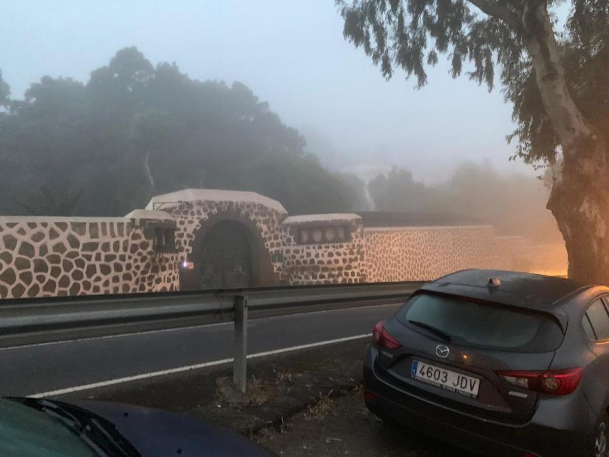 Niebla en Tafira (17/05/19)
