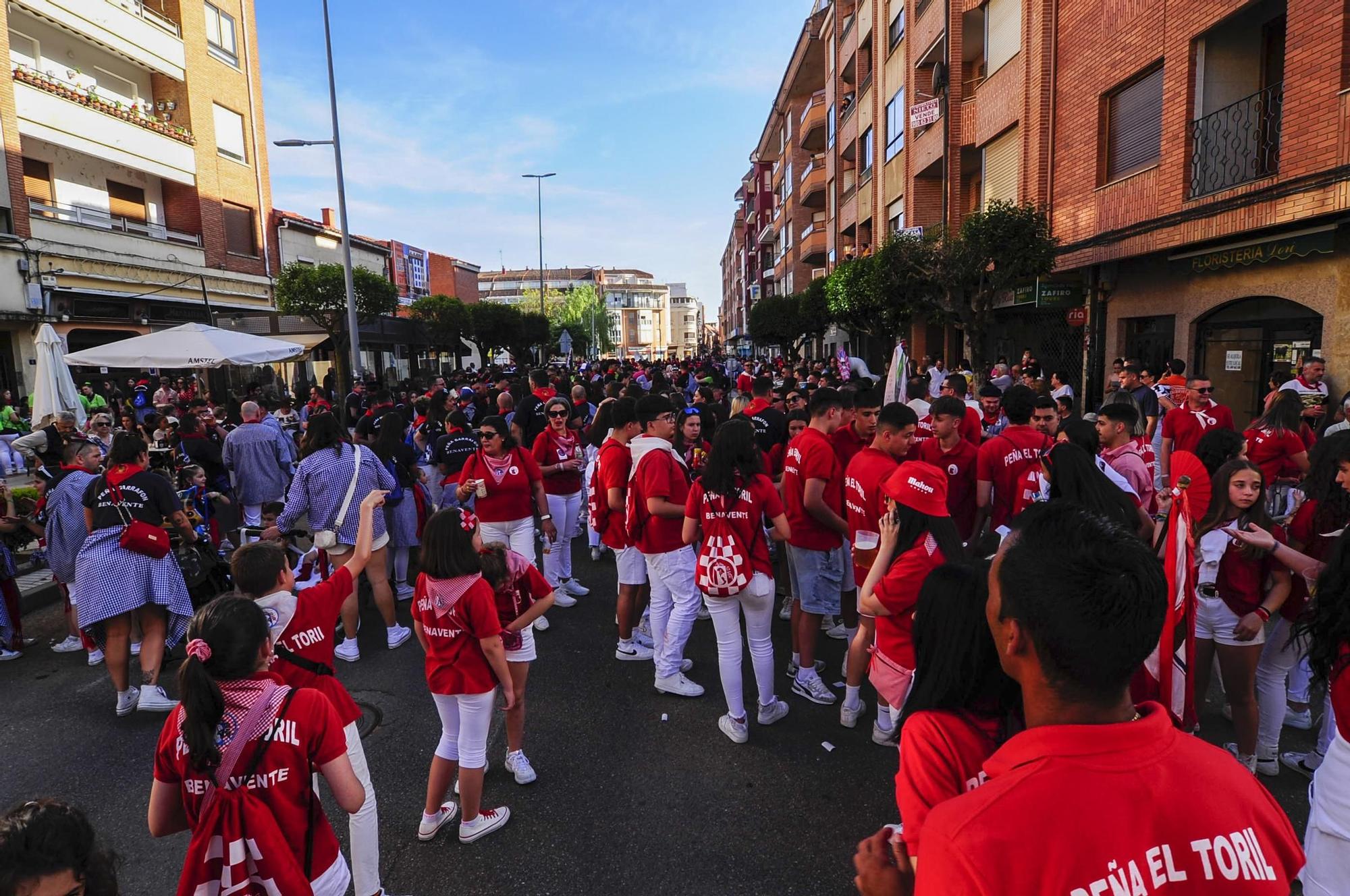 GALERÍA | Las peñas de Benavente reciben a Comediante y a Cuerva