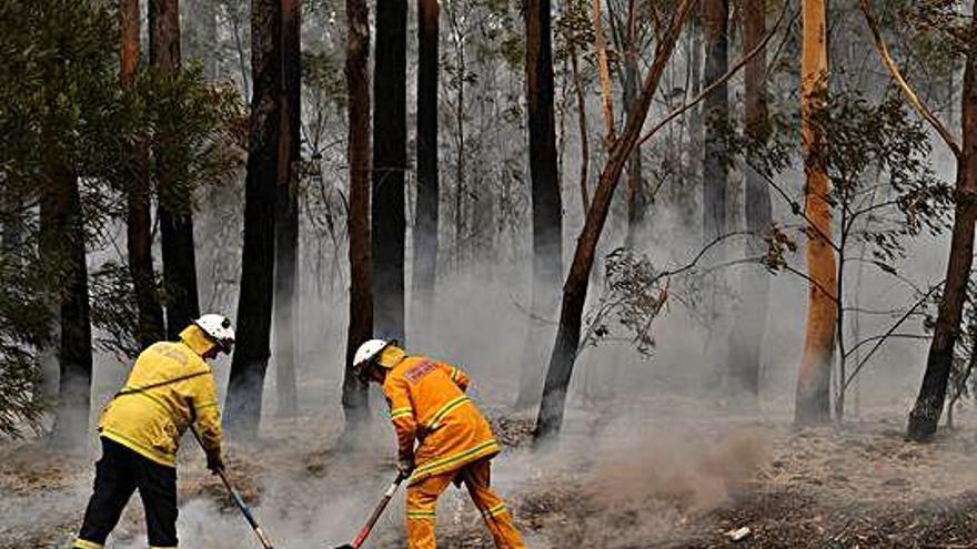 Bombers i voluntaris treballant per apagar els incendis.