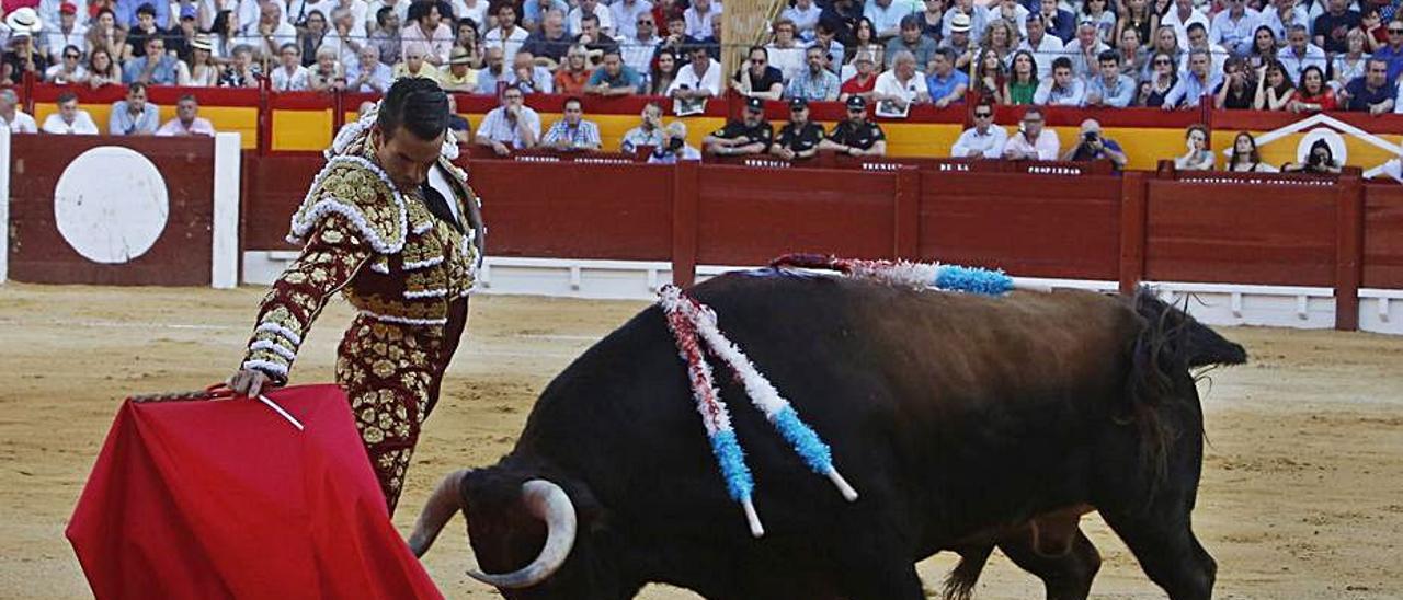 Manzanares, en plena faena en las Hogueras de 2019. | RAFA ARJONES