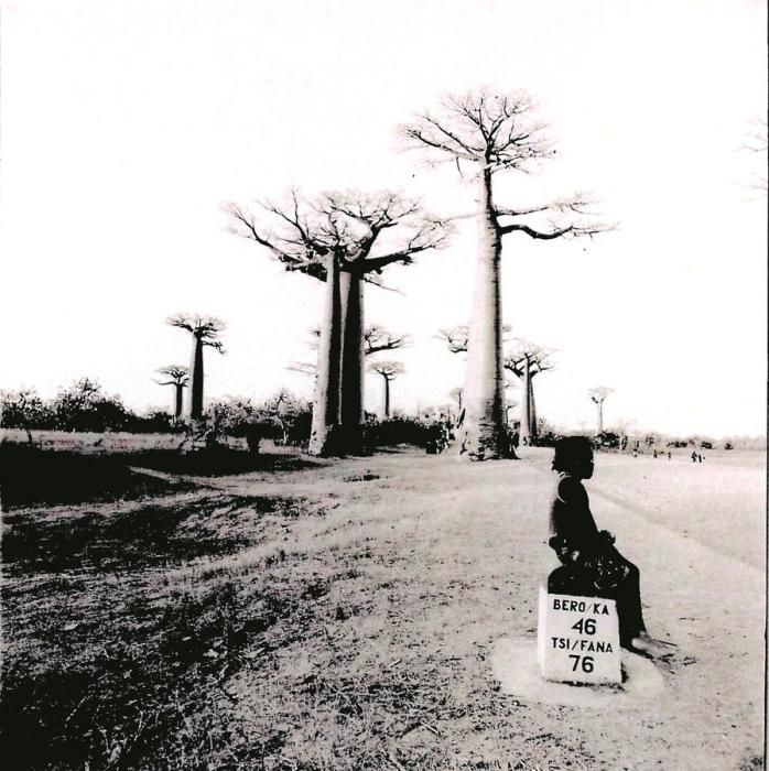 Baobabs, els arbres emblemàtics de Madagascar, en una carretera del país; és una de les imatges captades per Pep López incloses en el llibre que ha editatLa Salle Girona