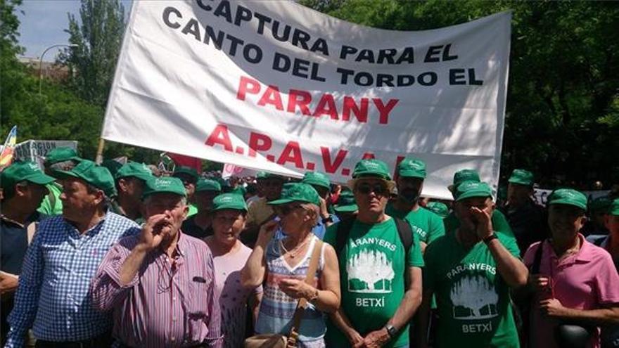 Parany: 13 años de ilegalidad