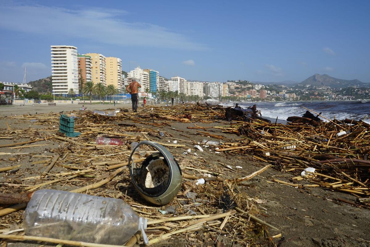 Cañas y basura arrastrada por el agua tras el paso de una de las danas en la playa de la Malagueta