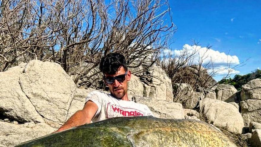 La lucha y la paciencia: las claves que da un pescador de Jarandilla de la Vera para capturar siluros imponentes en el Tajo