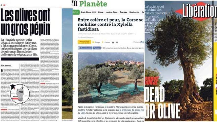 Los diarios franceses han prestado gran atención a &quot;la bacteria asesina&quot;.