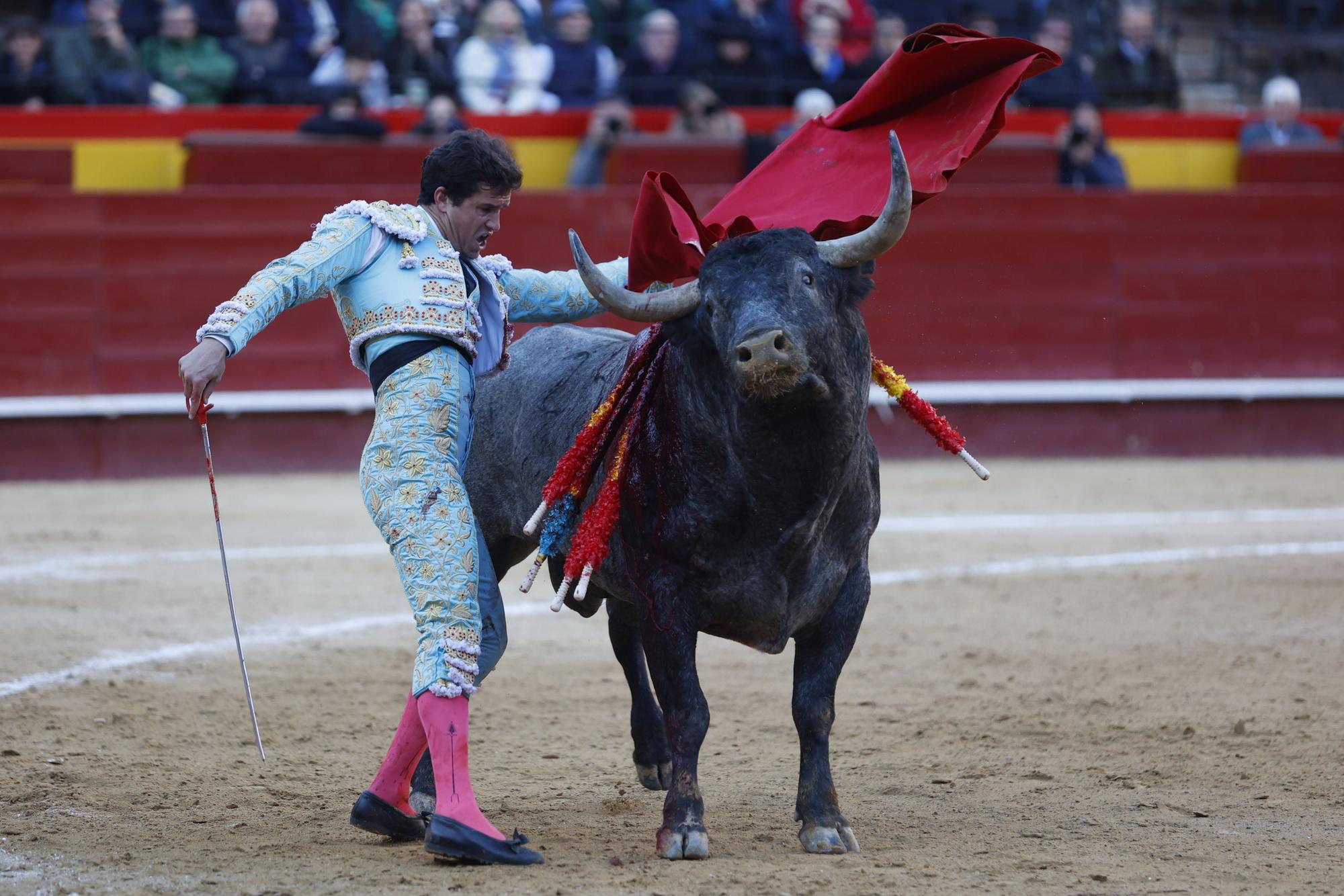 El triunfo de Daniel Luque en la Feria de Fallas