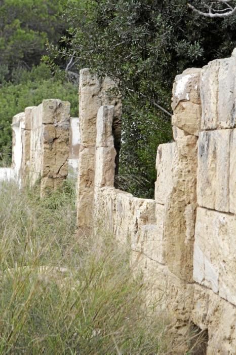 In Es Carnatge, dem letzten unverbauten Küstenabschnitt Palmas, aasten einst die Geier. Nun soll hier ein Park entstehen.