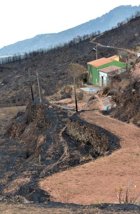 INCENDIO CUMBRE GRAN CANARIA