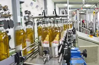 El número de empresas agrarias crece un 20% en Córdoba en cinco años