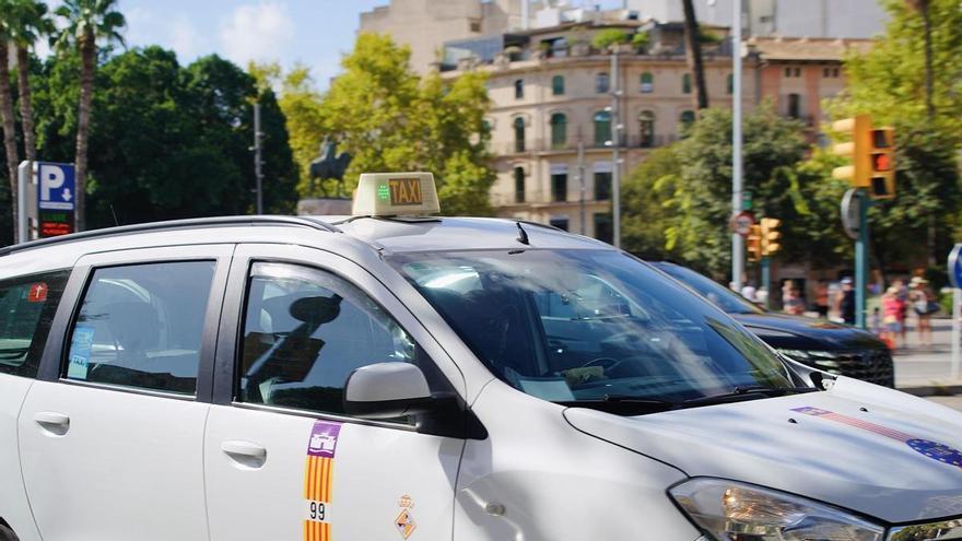 stas refuerzan el servicio en Palma tras aprobar el último examen