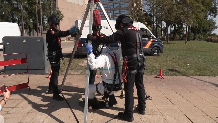 Dispositivo policial para la final de la Copa del Rey en Sevilla