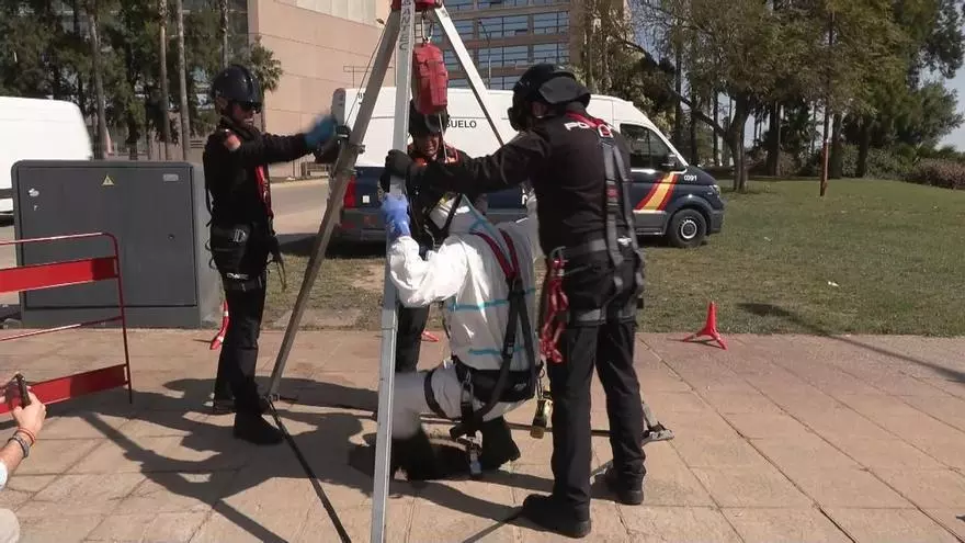 Dispositivo policial para la final de la Copa del Rey en Sevilla