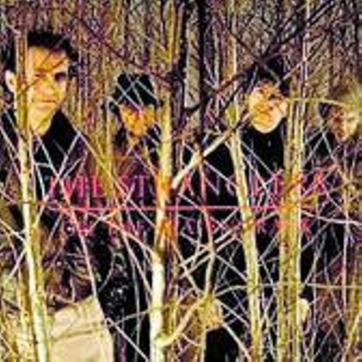 The Stranglers, un caso musical único