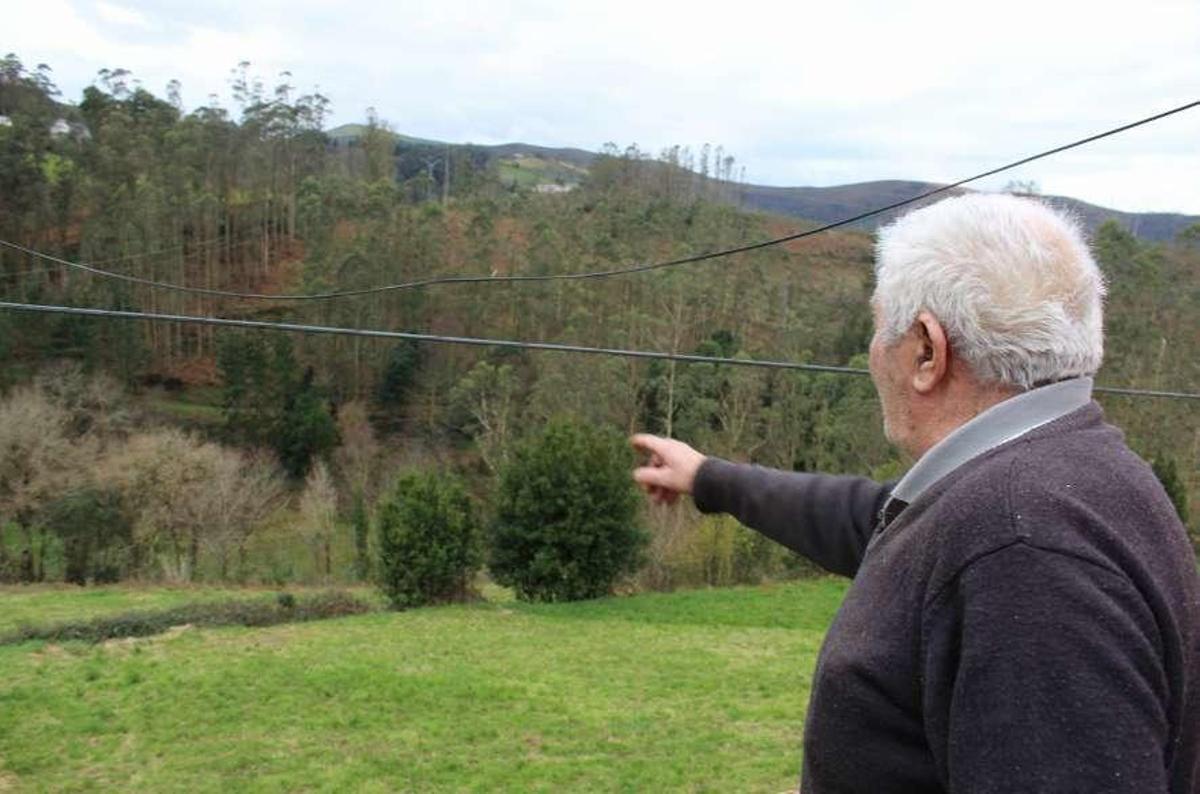 La concentración parcelaria impide que se reforeste el monte quemado de La Braña