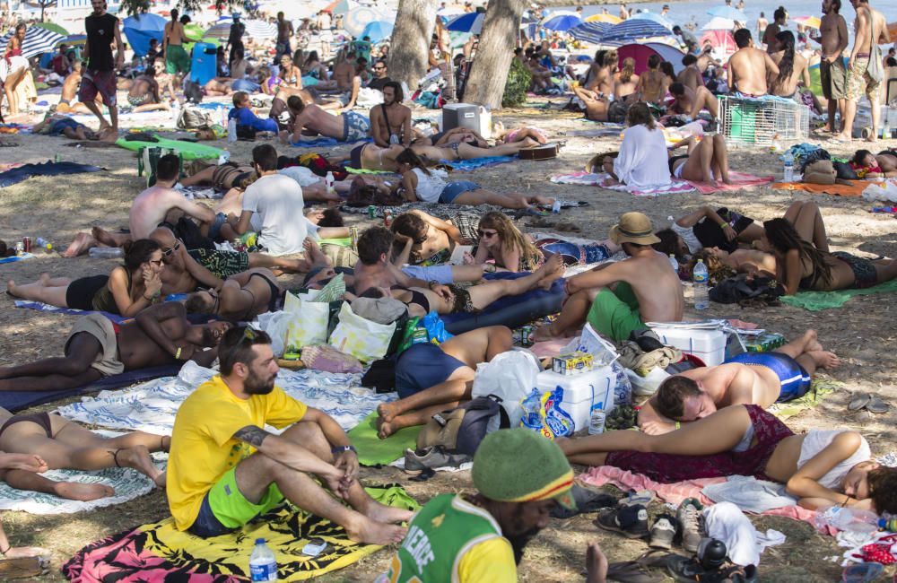 Ambiente de Rototom