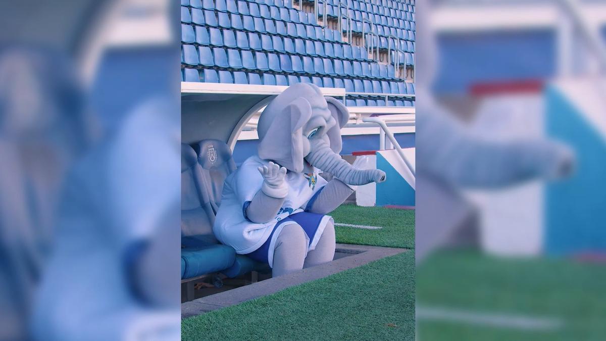 La tristeza del aficionado del CD Tenerife