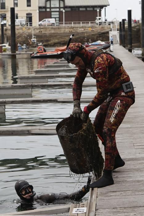 Labores de recogida de basura del fondo del muelle