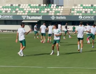 LOSC Lille - Real Betis Balompié: horario y dónde ver por televisión el estreno en Champions League del conjunto de Manuel Pellegrini