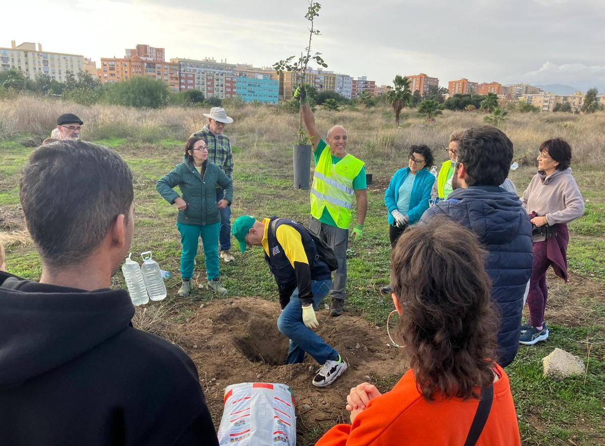 Voluntarios de la plataforma Bosque Urbano Málaga plantan 60 árbolesen los antiguos terrenos de Repsol
