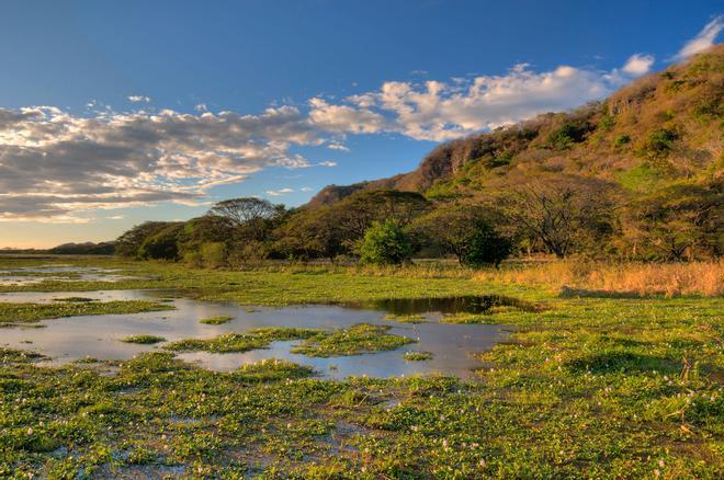 Parque Nacional Palo Verde