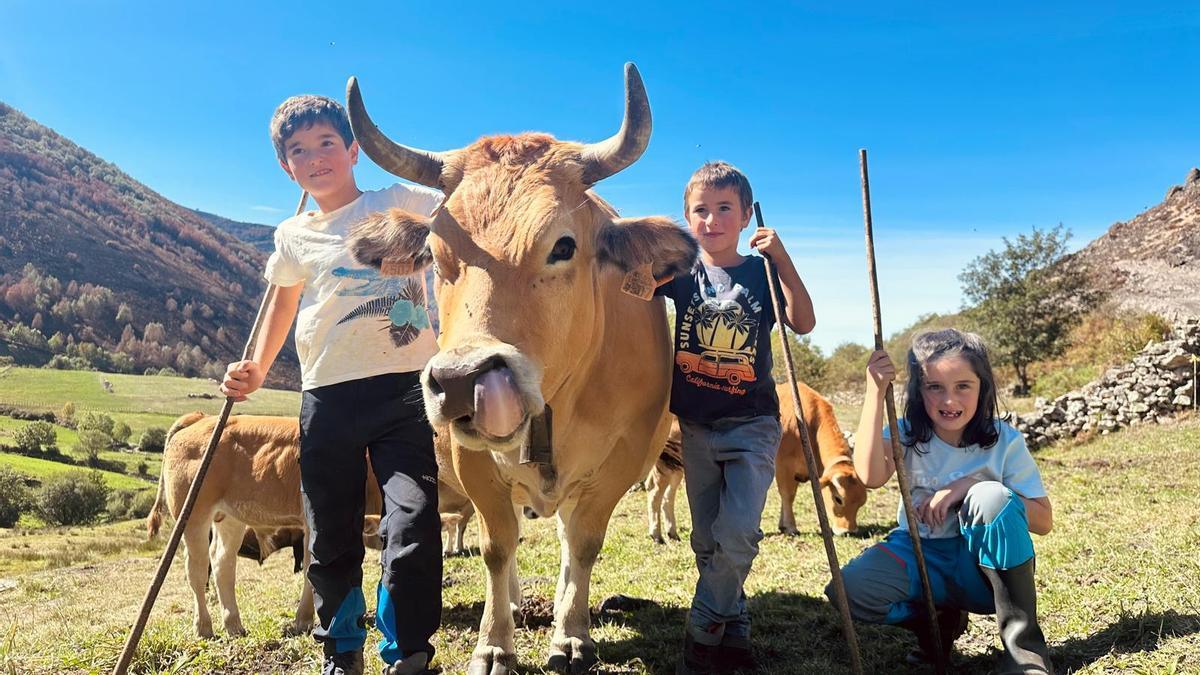 En imágenes: las imágenes que ilustran el 2026 con los ojos de los niños del CRA Río Cibea
