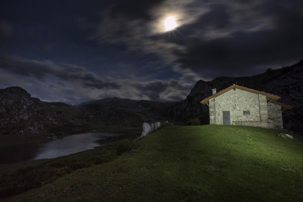 Un foco y muchas vacasLa Luna es el foco que enciende el refugio del lago Ercina, sonorizado con el tañido de los cencerros de las vacas.Lagos de Covadonga