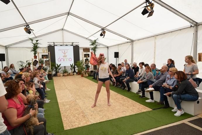 Feria Ecológica de Gran Canaria