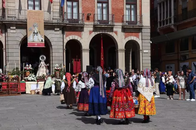 Zamora se rinde a su patrona, la Virgen de la Concha: así ha sido la ofrenda floral y de productos de la tierra