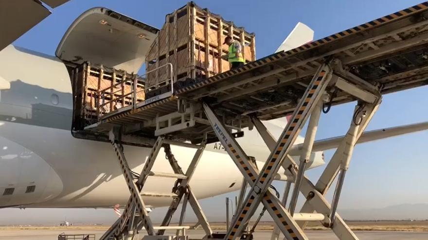 Las cabras de Alicante se quedan sin viajar a Irán