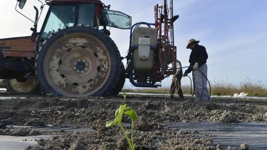 El coste energético lastra los ingresos en la agricultura