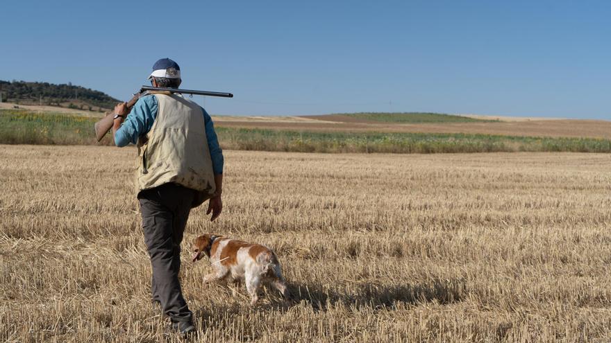 Tres cazadores de Zamora, sin armas durante medio año por participar en un descaste de conejos