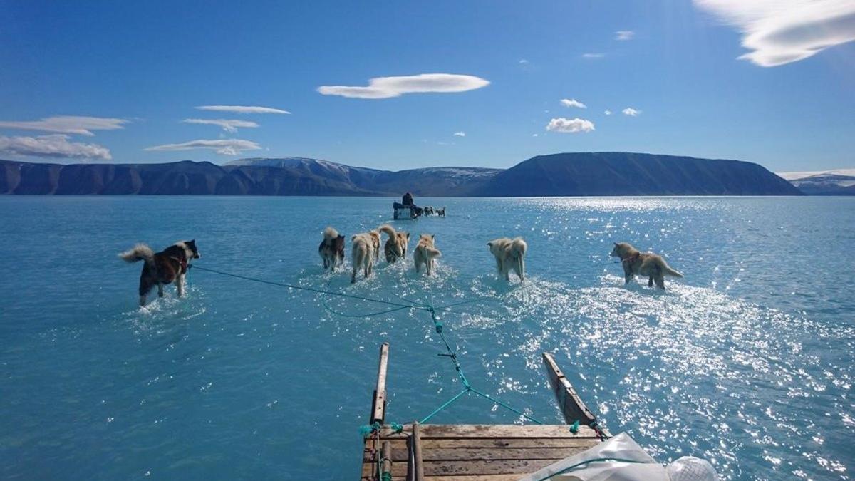 Perros tirando de un trineo sobre el agua en Groenlandia