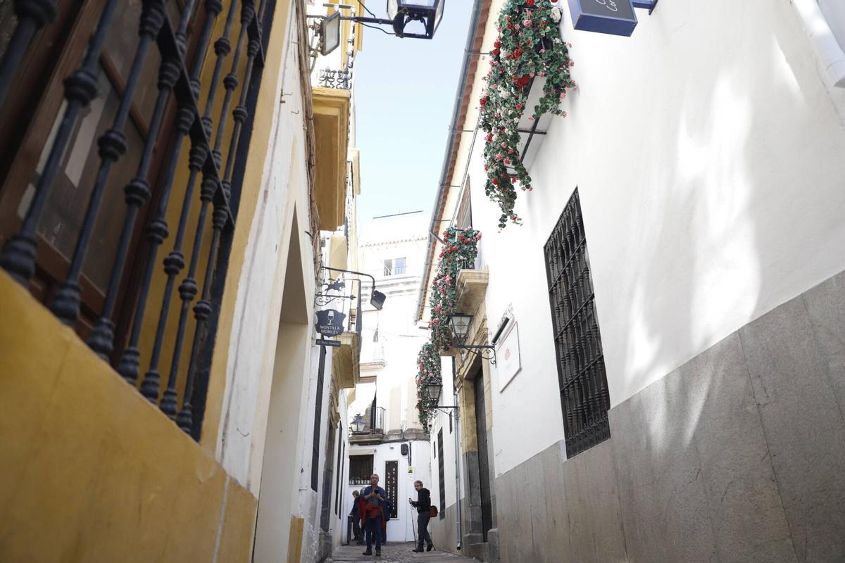 Guías turísticos y vecinos alertan de la invasión de flores de plástico en el casco histórico