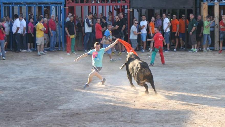 Les Alqueries ofrecerá 13 cerriles en fiestas