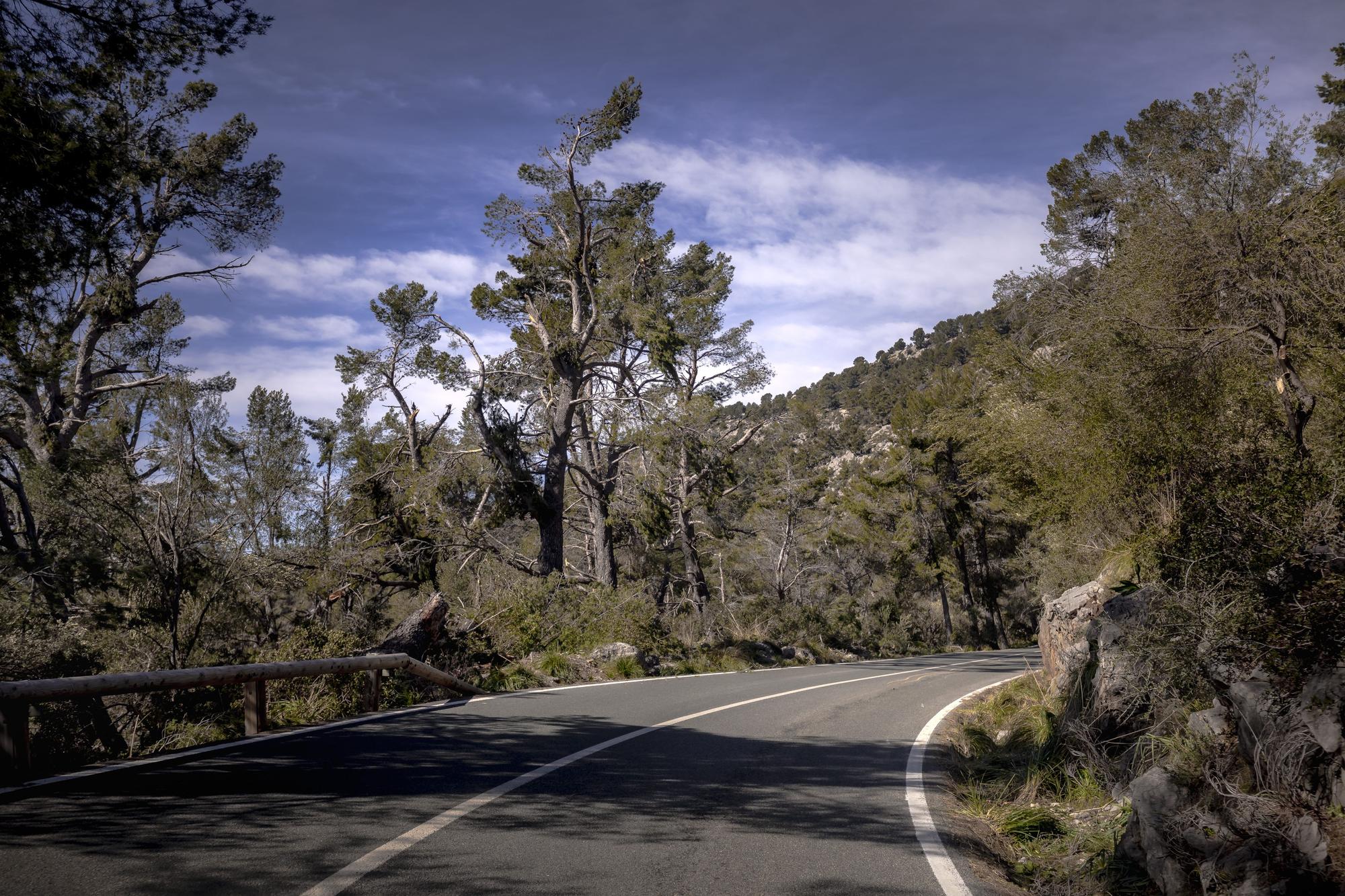 Borrasca Juliette en Mallorca | Caos y belleza en la Serra de Tramuntana