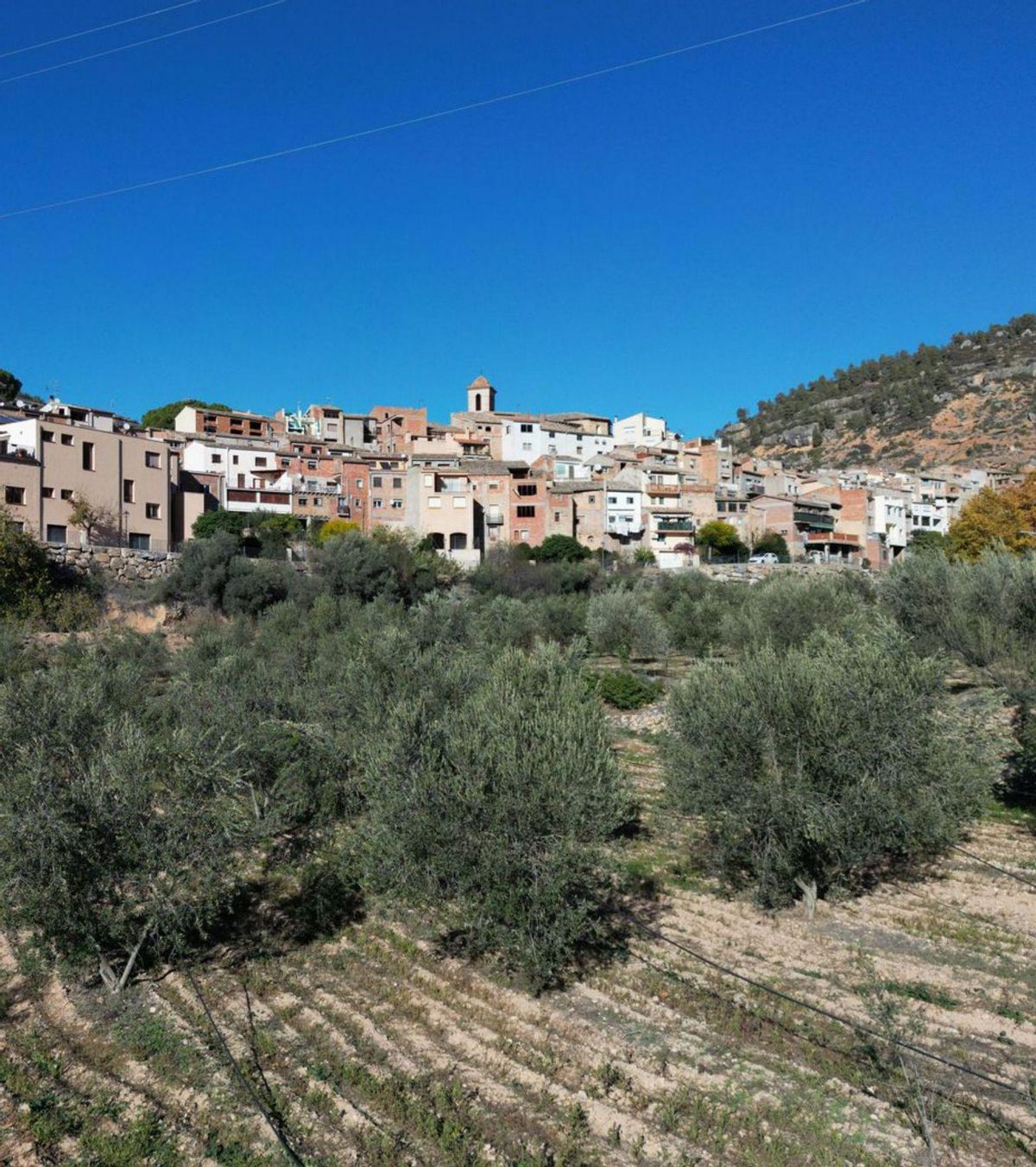 Futur de Catalunya a rural Futur de Catalunya a rural