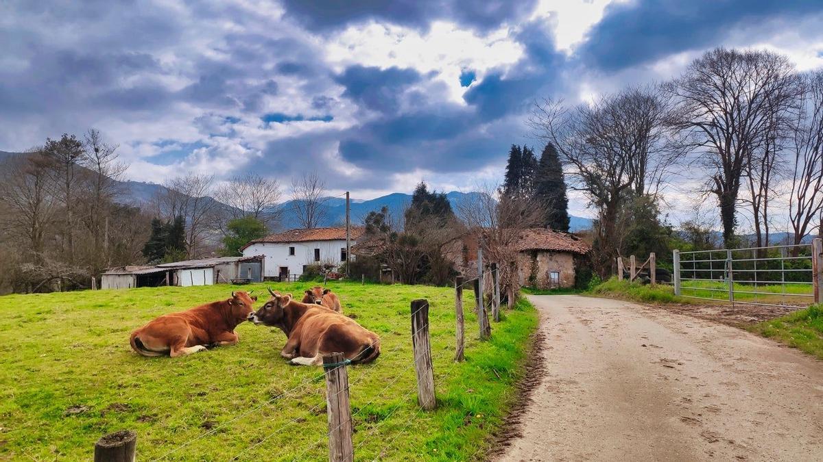 Ceceda, Asturias