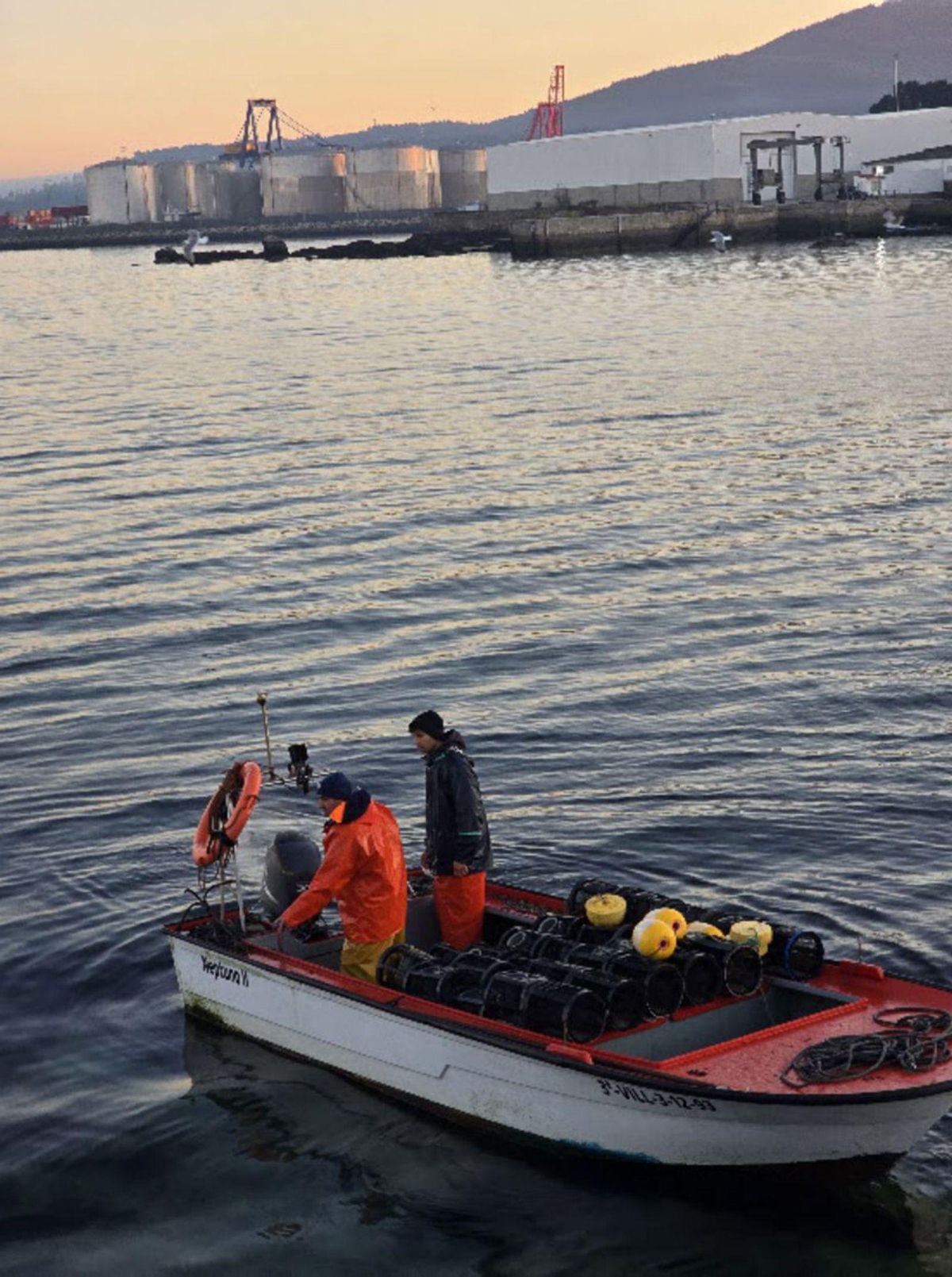 Pescadores con nasa de nécora y camarón, en Vilagarcía. |  M.M.