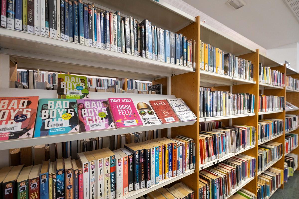 Sección de literatura juvenil en la Biblioteca Municipal Rafael Andolz  del barrio Almozara de Zaragoza