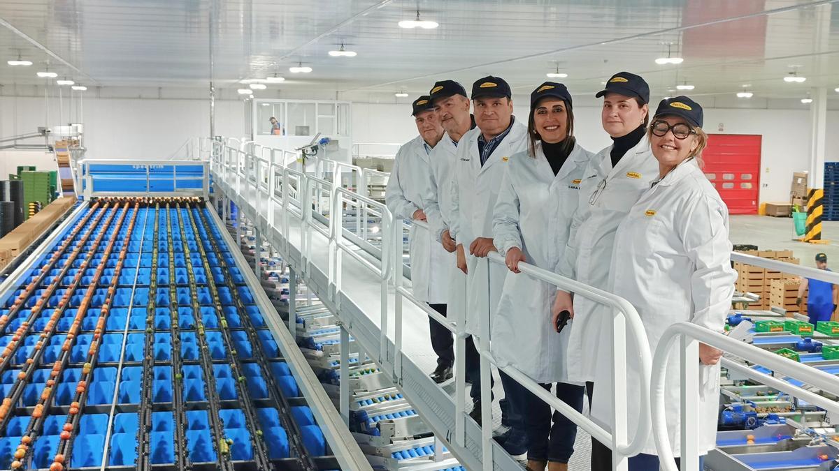 La consejera de Agua, Agricultura, Ganadería y Pesca, Sara Rubira, junto a los directivos de la SAT Perichán en la nueva calibradora para el procesado de producto que han instalado.
