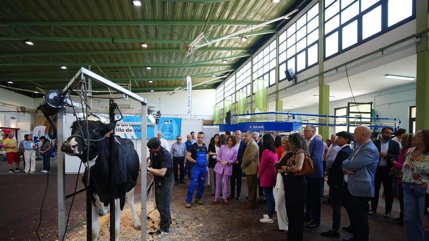 Así ha sido el paseo electoral de candidatos por la feria agroganadera de Pozoblanco