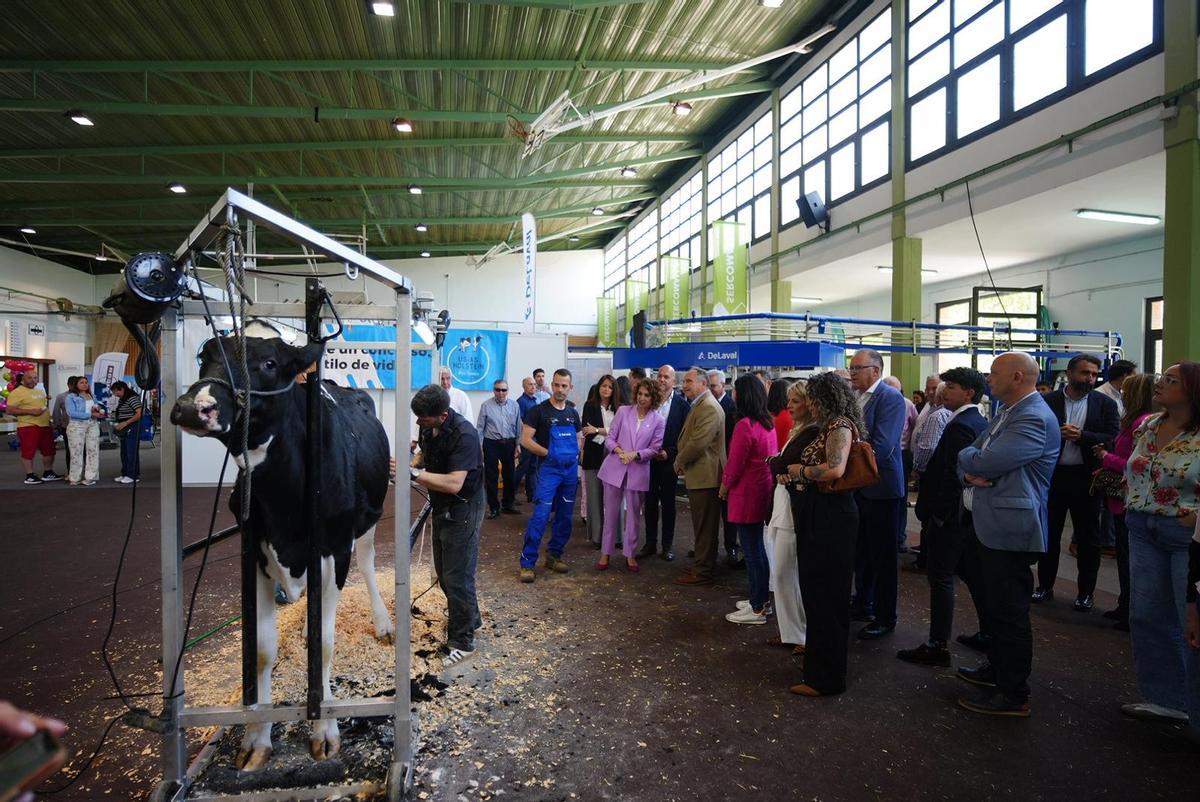María Jesús Montero observa una demostración en la feria agroganadera de Los Pedroches.