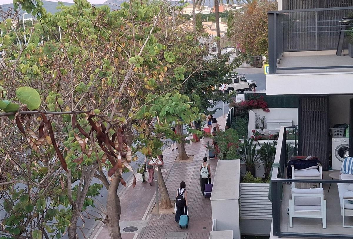 Volver a casa: unas chicas arrastran las maletas a primera hora de la mañana y de camino a la estación de autobuses