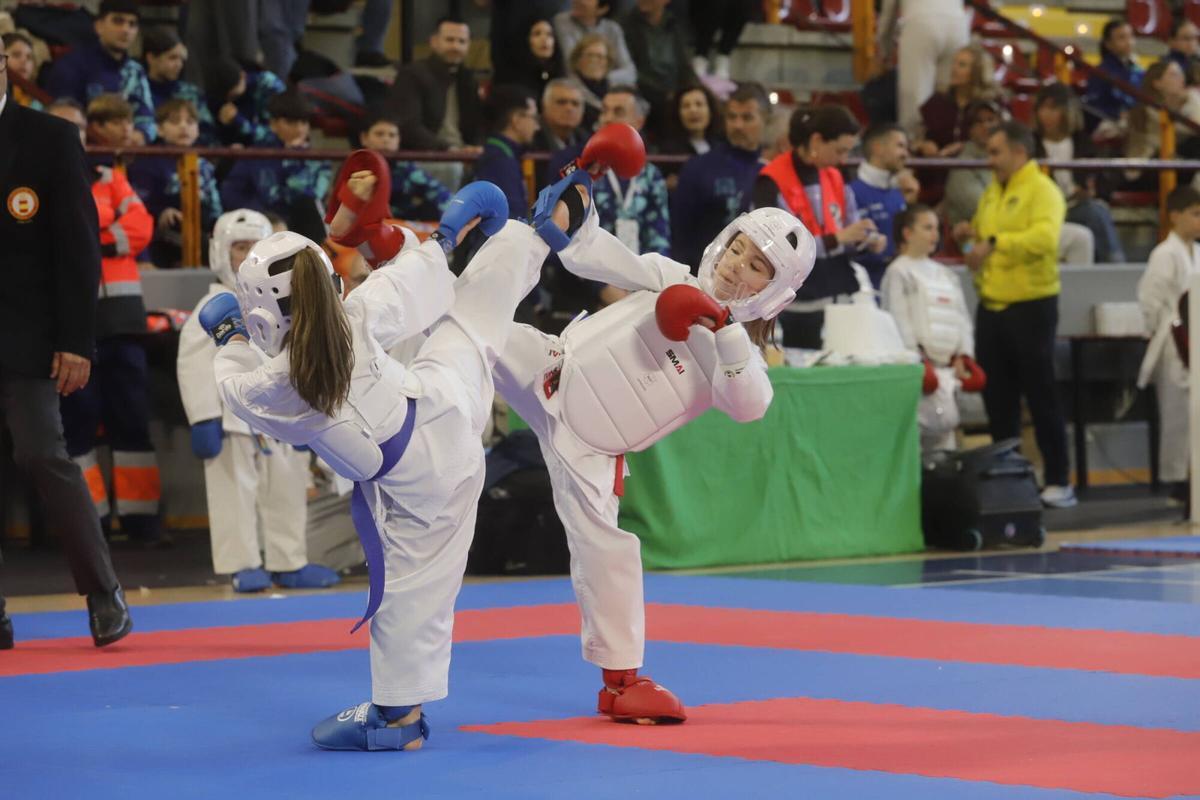El Campeonato de Andalucía infantil de karate, en imágenes
