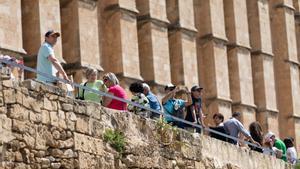 Varios turistas en las inmediaciones de la catedral de Palma.