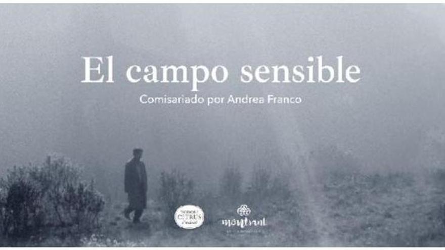 El ciclo Cine de Vanguardia llega al Hotel Montsant de Xàtiva
