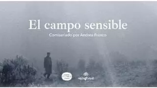 El ciclo Cine de Vanguardia llega al Hotel Montsant de Xàtiva La iniciativa impulsada por el comisario de arte Vicent Todolí propone un diálogo entre la creación cinematográfica y el singular paisaje de cítricos    El próximo 20 de septiembre los jardines del Hotel Montsant de Xàtiva volverán a acoger una nueva edición de Cine de Vanguardia. Impulsado por la Todolí Citrus Fundació, desde 2022, propone un diálogo entre la creación cinematográfica y el singular paisaje de cítricos creado por el comisario de arte Vicente Todolí.  La Todoli Citrus Fundació es una institución sin ánimo de lucro dedicada al estudio, la conservación y la difusión de la diversidad citrícola. Con sede en el huerto botánico El Bartolí, en Palmera (Valencia), alberga probablemente la mayor colección privada de cítricos cultivados en tierra del mundo, con cerca de 500 variedades procedentes de todas las regiones naranjeras del mundo. La Fundación combina la conservación de este extraordinario patrimonio botánico y paisajístico con una intensa programación cultural que establece puentes entre biodiversidad, arte contemporáneo, gastronomía y cine.  Dicha organización ha creado la serie Cine de Vanguardia en el Jardín, desde la que ofrece cada septiembre, la oportunidad de descubrir un cine de extraordinario valor artístico y poético, habitualmente alejado de los circuitos comerciales, y más próximo al ámbito de las artes visuales. La experiencia de la proyección al aire libre, en diálogo con el paisaje de El Bartolí y los jardines del Hotel Montsant, convierte cada sesión en una invitación a mirar el cine desde otra perspectiva.  Una experiencia que cumple ya un lustro trabajando distintas formas de aproximarse a la naturaleza con una perspectiva cinéfila. En otras ediciones se experimentó con temas específicos como los jardines, la botánica o el agua. La deL presente año, se centrará en el estudio de la tierra, donde se propone una lectura mítica y nostálgica de la naturaleza a través de películas y personajes que abogan por formas de vida profundamente integradas en el campo y en la vida rural.  El programa reúne obras de autores clásicos del cine experimental como Bruce Baillie, Marjorie Keller o Bruce Elder, junto a cineastas contemporáneos como Jodie Mack o Joel Schlemowitz. También podrá verse la película surgida de la colaboración entre los artistas Peter Nadin, Aimée Toledano y Natsuko Uchino, una obra que entiende el cultivo de la tierra como práctica artística y forma de conocimiento  La muestra está comisariada por Andrea Franco, investigadora y programadora audiovisual. Desde la creación del ciclo en 2022 ha desarrollado una línea que explora las relaciones entre el cine experimental, el paisaje y la naturaleza. Por tercer año consecutivo, el Hotel Montsant se suma al proyecto acogiendo la segunda sesión del ciclo en los jardines de su emblemática localización de Xàtiva, a los pies del castillo. Esta colaboración amplía el alcance territorial de la iniciativa y permite que el programa dialogue con este espacio setabense de gran valor histórico y paisajístico, en el que también los cítricos están presentes. La proyección en el Hotel Montsant tendrá lugar el próximo domingo 20 de septiembre de 2026 en los Jardines del Hotel Montsant. La proyección será de acceso gratuito hasta completar aforo, siendo imprescindible confirmar asistencia a través del correo cine@todolicitrus.org